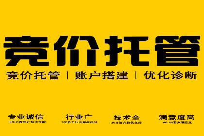 SEO与SEM实战案例：提升品牌知名度